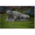 Set of 3 Dinosaurs