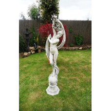 Italian Dancer Italian Dancer