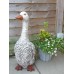 Pair of Geese