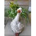 Pair of Geese