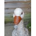 Pair of Geese