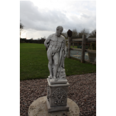 Hercules On Plinth