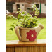Watering Can Planter x 2